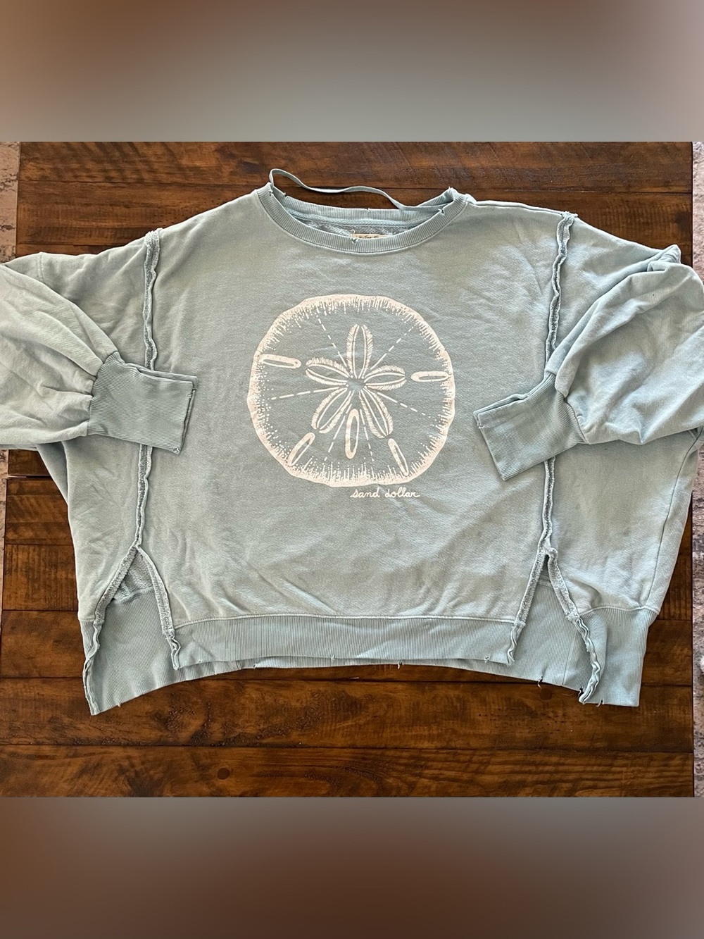 We The Free Graphic Camden Pullover- Sand Dollar Size Medium - Picture 4 of 8